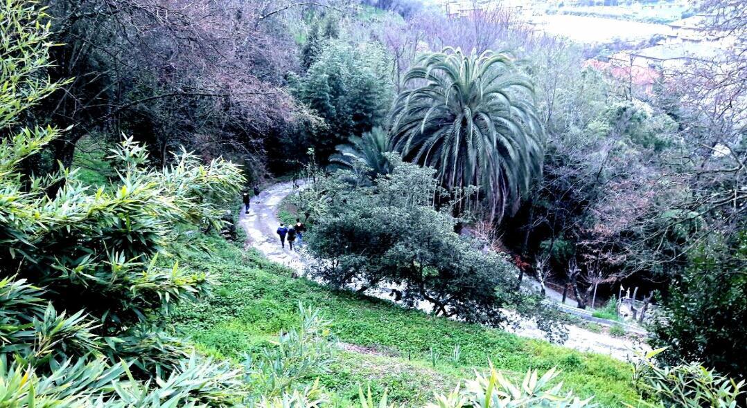 The Italian Riviera Bed & Breakfast San Salvatore  Bagian luar foto